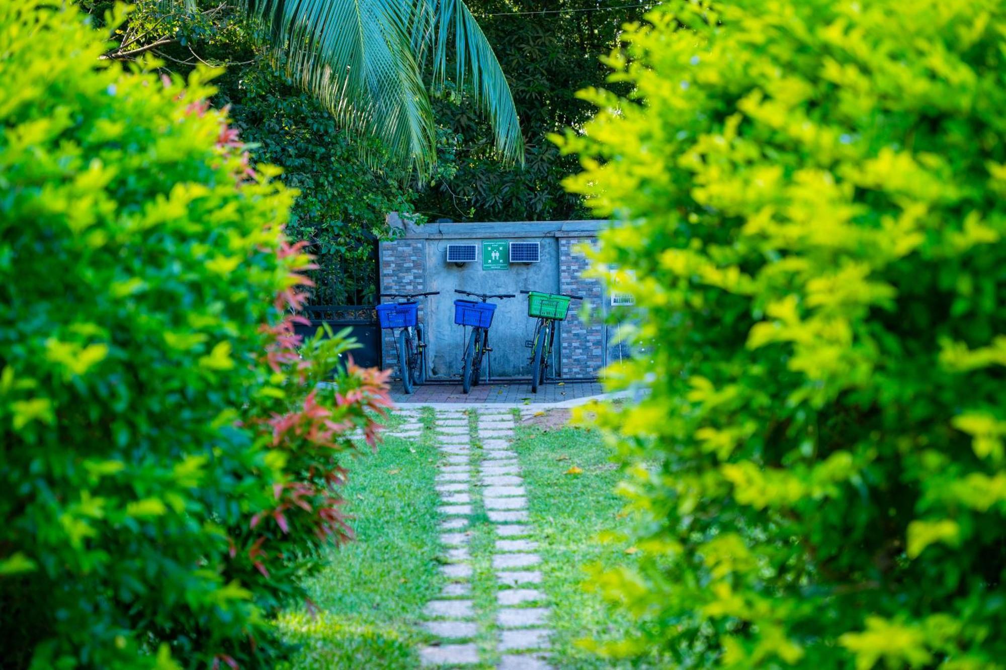 Pension Michel Villa Roche Bois La Digue Exterior photo